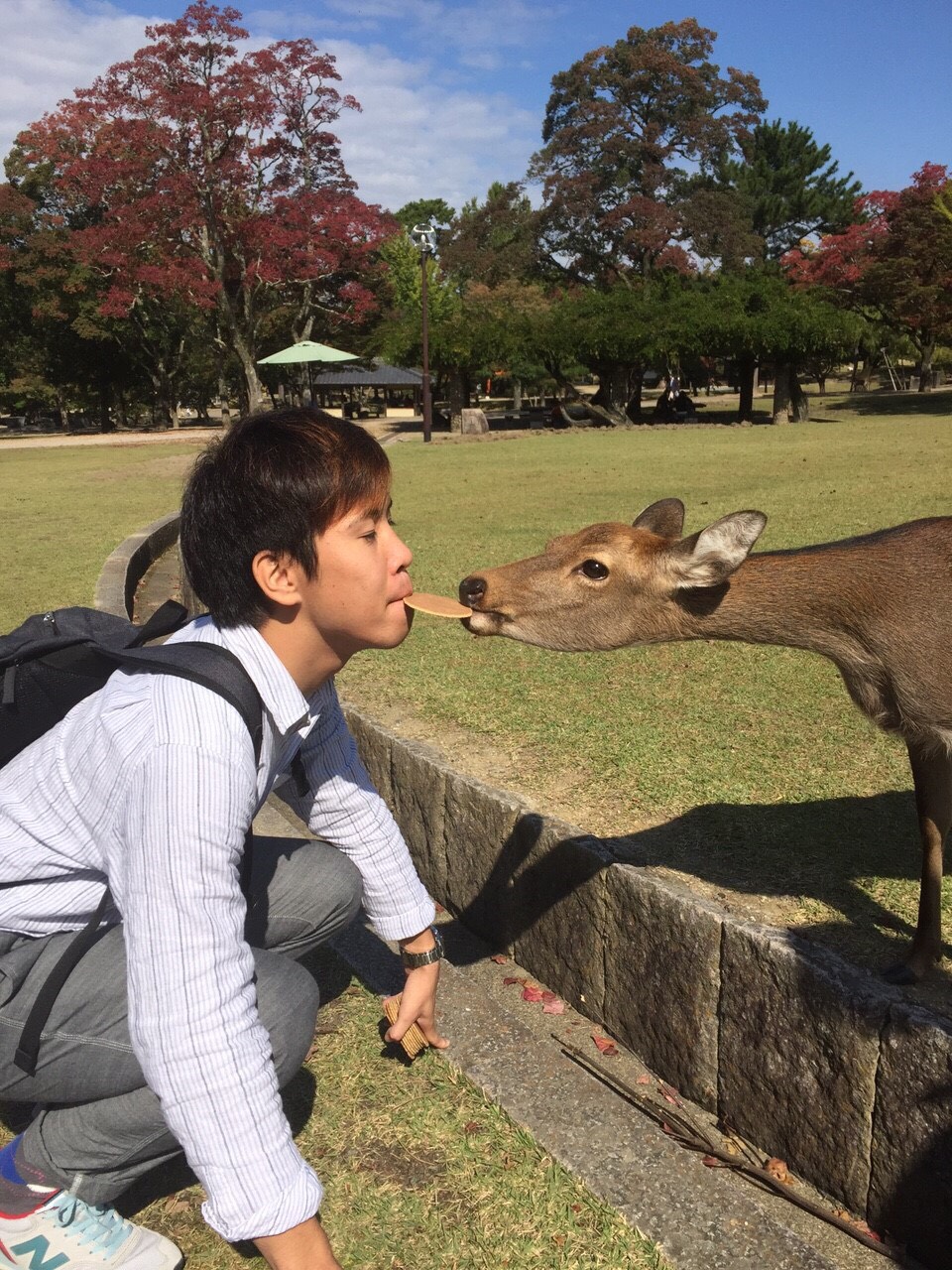 サンプル